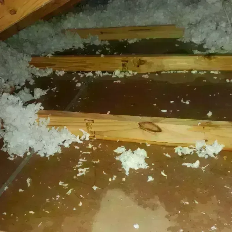 Attic Water Damage in Bushland, TX