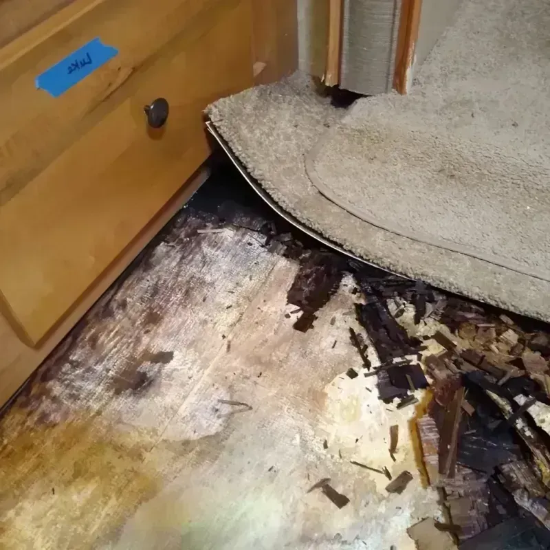 Wood Floor Water Damage in Bushland, TX